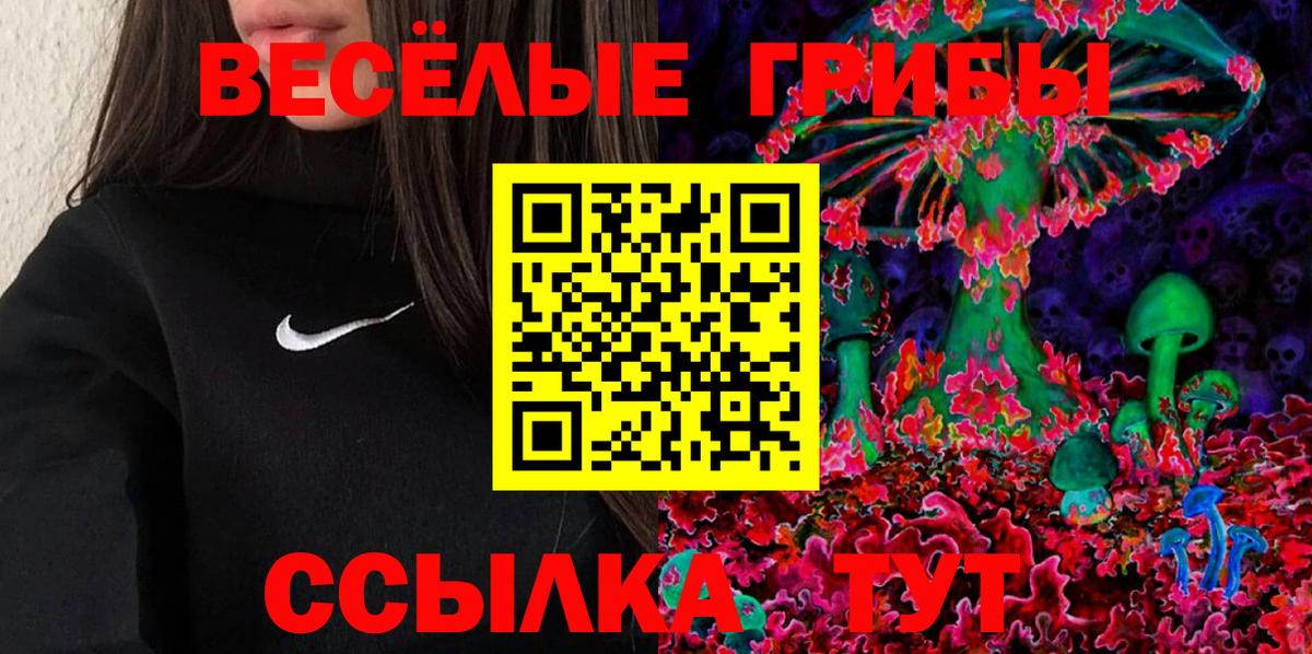 Аргун  Псилоцибиновые грибы Psilocybine cubensis  Вход с VPN 