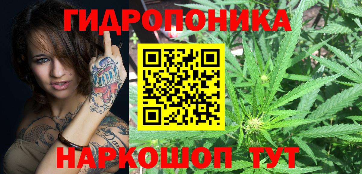 Каннабис Ganja Аргун
